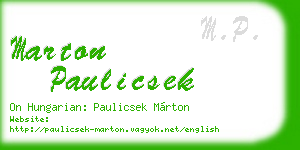 marton paulicsek business card