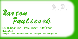 marton paulicsek business card